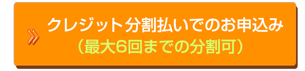 クレジット6回払い